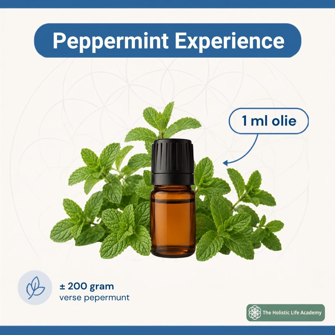 Peppermint Experience - The Holistic Life Academy