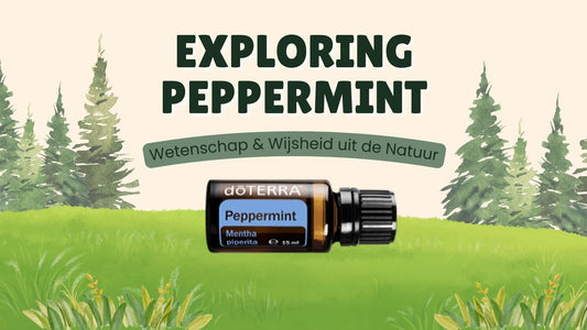 Exploring Peppermint - Experience - The Holistic Life Academy