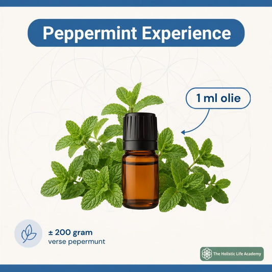 Peppermint Experience - The Holistic Life Academy